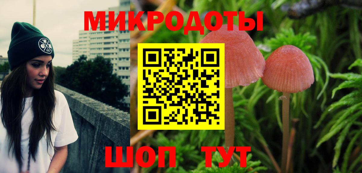Псилоцибиновые грибы Psilocybine cubensis  Вход с VPN  Пугачёв  Псилоцибиновые грибы прущие грибы 